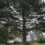 فيلة Luxury Nel Bosco