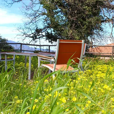 Villa Luxury Nel Bosco