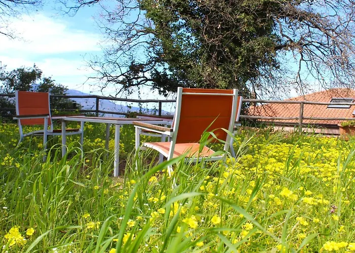 Villa Luxury Nel Bosco
